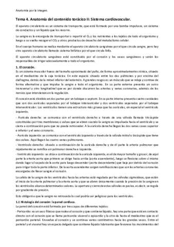 Tema-4.pdf