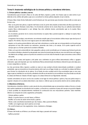 Tema-9.pdf