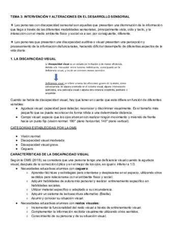 TEMA-3-DCM.pdf