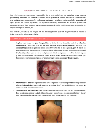 BLOQUE-I-PROCESOS-INFECCIOSOS-COMPLETOremoved.pdf
