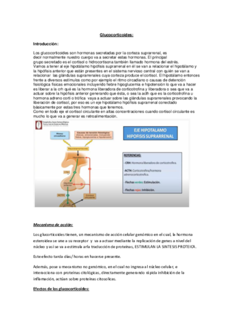 Glucocorticoides-ssss-convertido.pdf