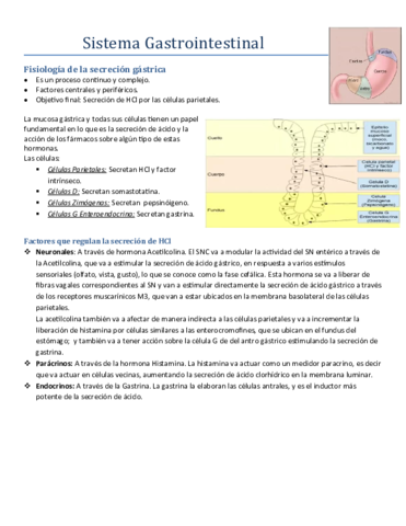 Gastrointestinal.pdf