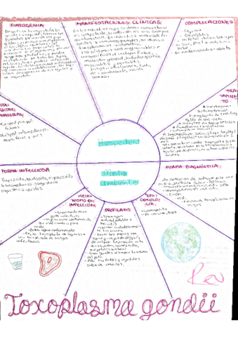 TOXOPLASMOSIS.pdf