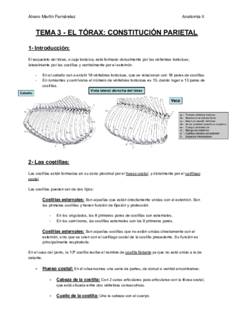 TEMA-3-EL-TORAX-CONSTITUCION-PARIETAL.pdf