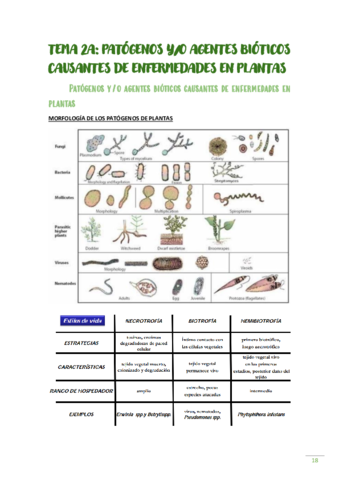 ilovepdfmerged-1.pdf