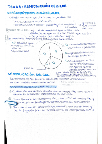 bio-2-trimestre.pdf