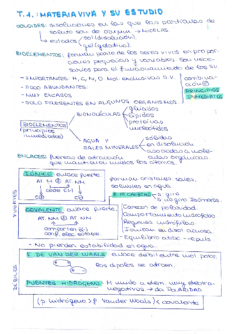 bio-1-trimestre.pdf