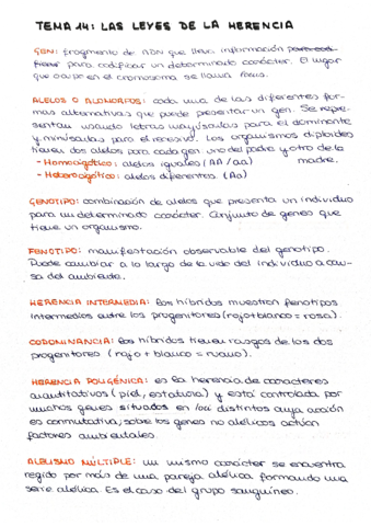 bio-3-trimestre.pdf