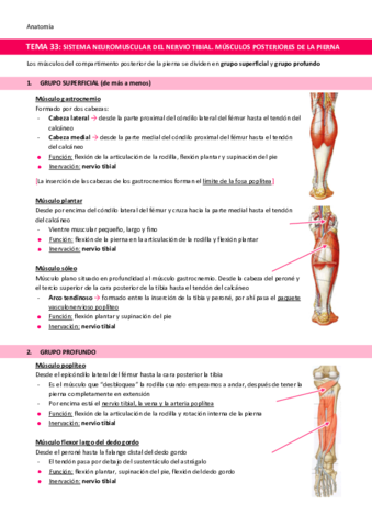 TEMA-33-Sistema-neuromuscular-del-nervio-tibial.pdf