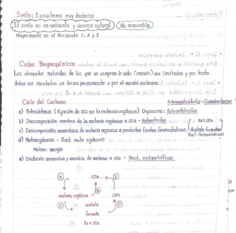 Ciclo-del-Carbono.pdf
