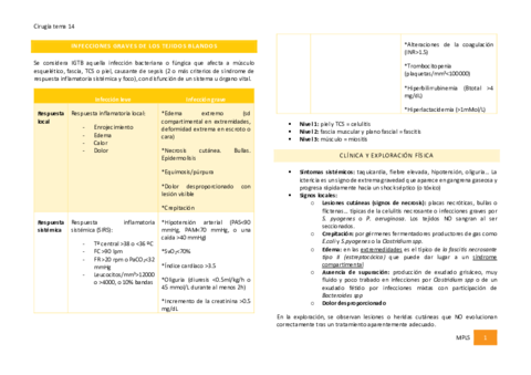 Infecciones-graves-de-los-tejidos-blandos.pdf