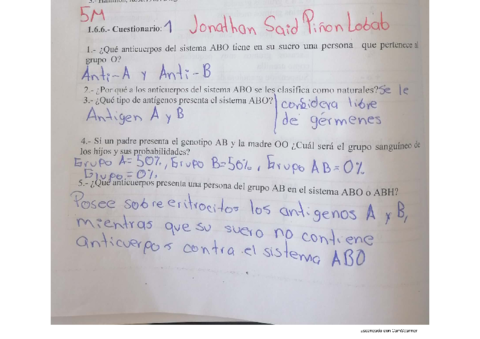 ACTIVIDADES-DESARROLLADAS-8.pdf