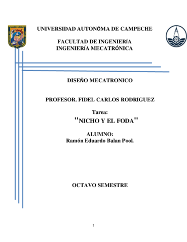 FODA-Y-NICHO.pdf