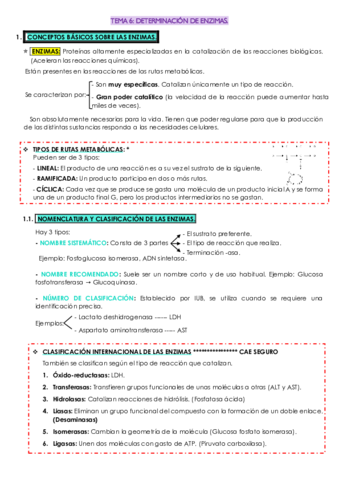 TEMA-6-bq.pdf