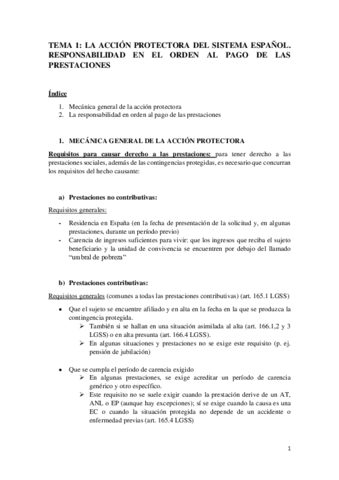 TEMA-1-la-accion-protectora-del-sistema-espanol.pdf