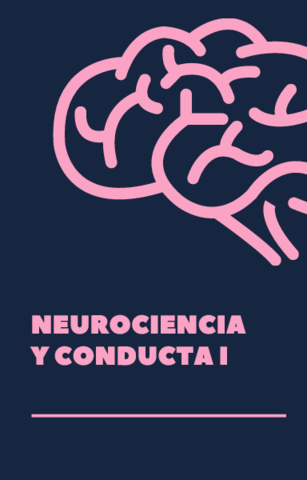 apuntes neurociencia completos.pdf