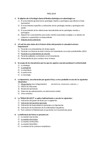 PMQ-preguntas-test.pdf