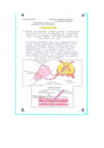 Fisiologia-puntos-de-control-2.pdf