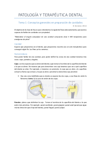 PTD I asignatura completa.pdf