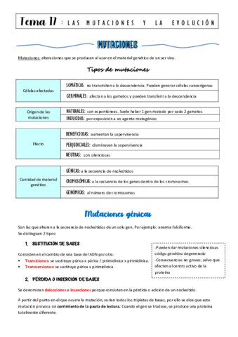 tema-17-mutaciones-y-evolucion.pdf