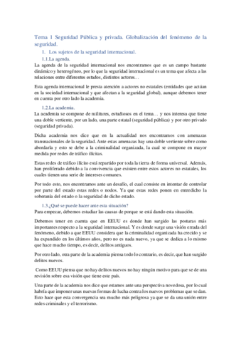 Tema-1-Seguridad-completo.pdf