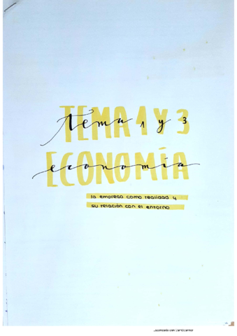 La-empresa-como-realidad-y-relacion-entorno-t.pdf