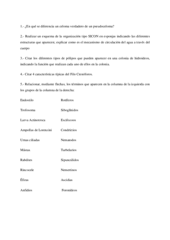 Examen-final-zoomarina.pdf