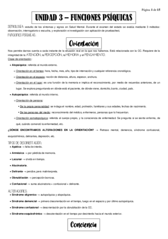 Resumen-U.pdf