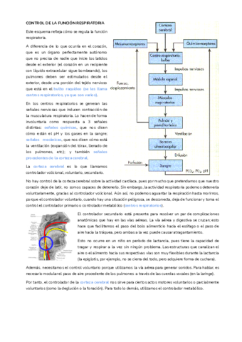 T17.pdf