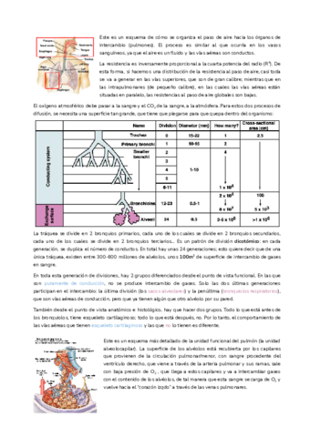 T14.pdf