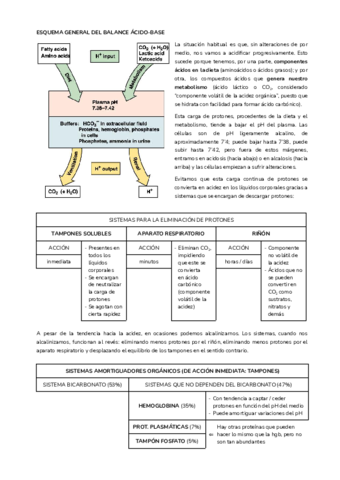 T20.pdf