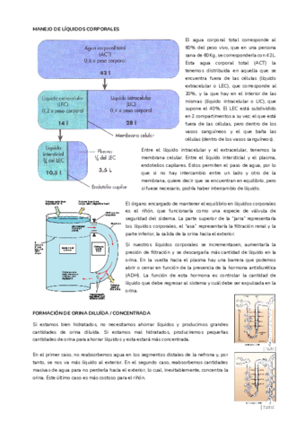 T19.pdf