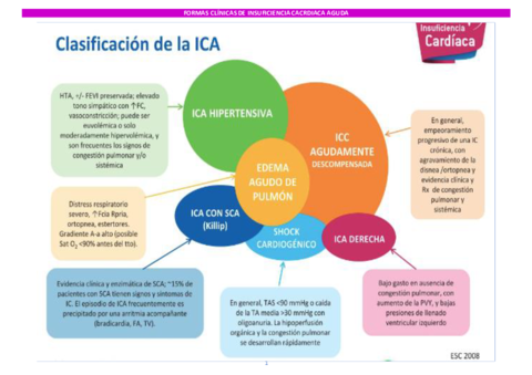 FORMAS-CLINICAS-DE-INSUFICIENCIA-CACRDIACA-AGUDA.pdf