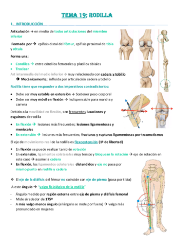 Tema-19-Rodilla.pdf