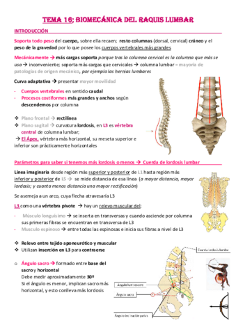 Tema-16-Biomecanica-del-Raquis-Lumbar.pdf