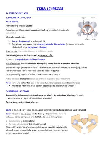 Tema-17-Pelvis.pdf