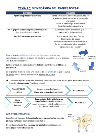 Tema-15-Biomecanica-Raquis-Dorsal.pdf
