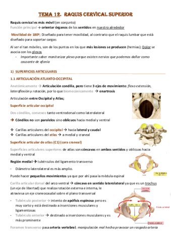 Tema-12-Raquis-Cervical-Superior.pdf