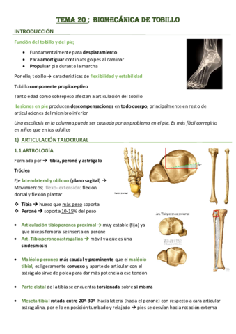 Tema-20-Biomecanica-del-Tobillo.pdf