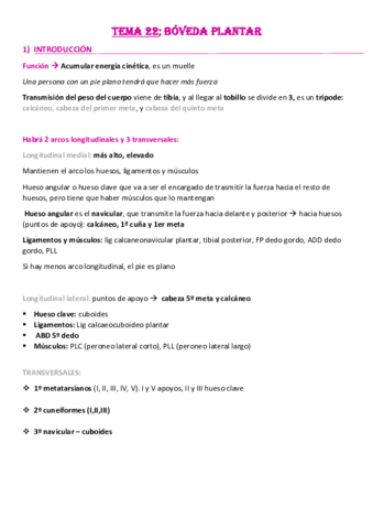 Tema-22-Boveda-Plantar.pdf