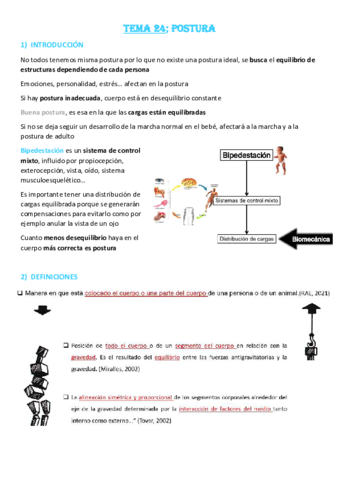 Tema-24-Postura.pdf