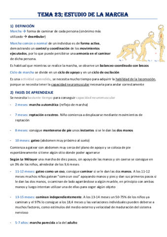 Tema-23-Estudio-de-la-Marcha.pdf