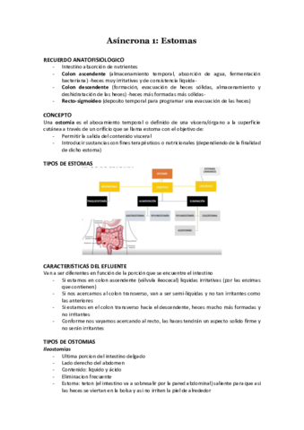 Asincrona-1-Estomas.pdf
