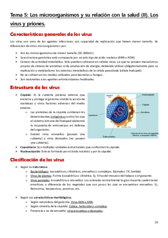 Tema-5.pdf