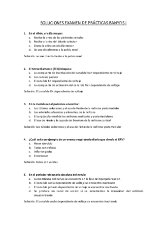 Examen-practicas-banyfis-I-soluciones.pdf