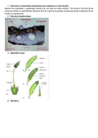 Examenes-botanica-II.pdf