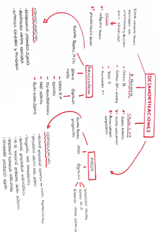esquema-desamortizaciones.pdf