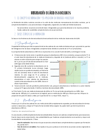 TEMA-4-HIBRIDACION.pdf