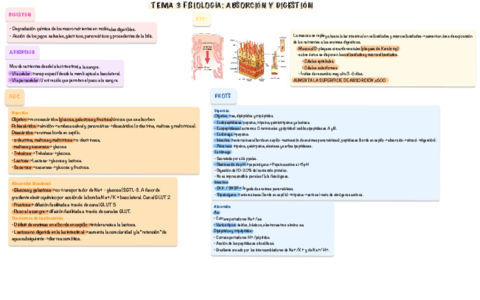 Fisiologia-II-TEMA-3.pdf