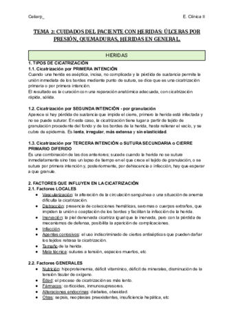 TEMA-2-CUIDADOS-DEL-PACIENTE-CON-HERIDAS-ULCERAS-POR-PRESION-QUEMADURAS-HERIDAS-EN-GENERAL.pdf